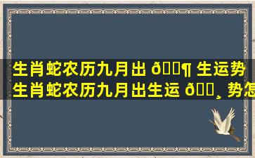 生肖蛇农历九月出 🐶 生运势（生肖蛇农历九月出生运 🌸 势怎么样）